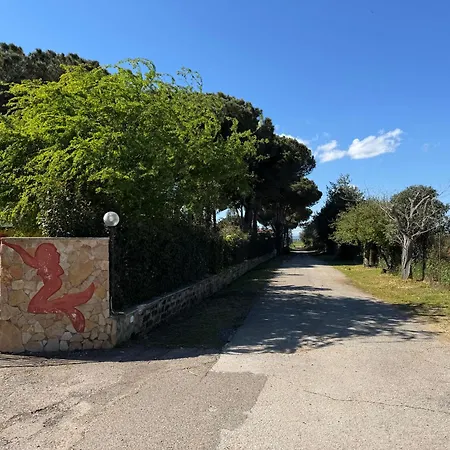 Paradiso Tarquinia