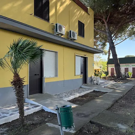 Paradiso * Tarquinia