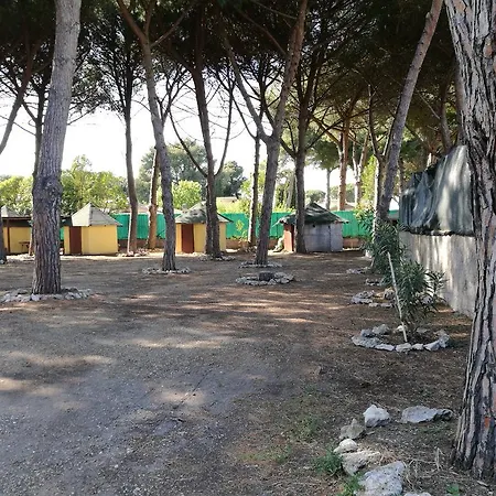 Paradiso Hotel Tarquinia